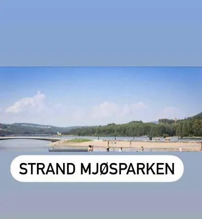 100 Kvm Suite, Activitypark, Beach, Swimmingpool Lovely View Over Mjosa Near By Hamar, Order Your Own Breakfast At Wood Apartment *