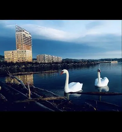 Apartment 100 Kvm Suite, Activitypark, Beach, Swimmingpool Lovely View Over Mjosa Near By Hamar, Order Your Own Breakfast At Wood Brumunddal